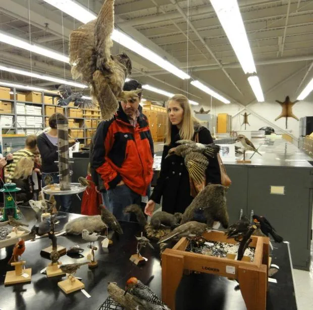 Visitors examine displays of birds
